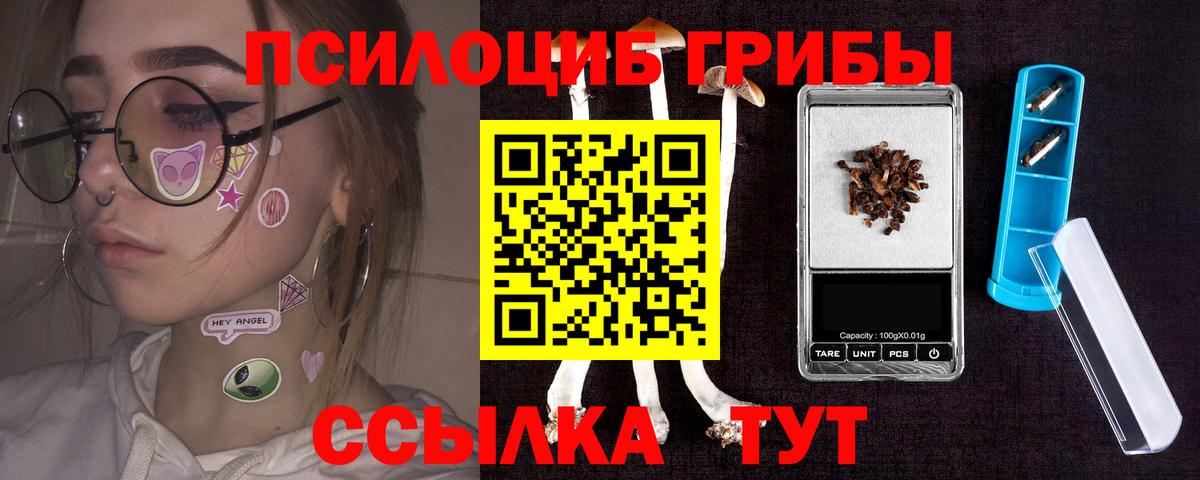 Шали  Галлюциногенные грибы GOLDEN TEACHER  Вход с VPN 